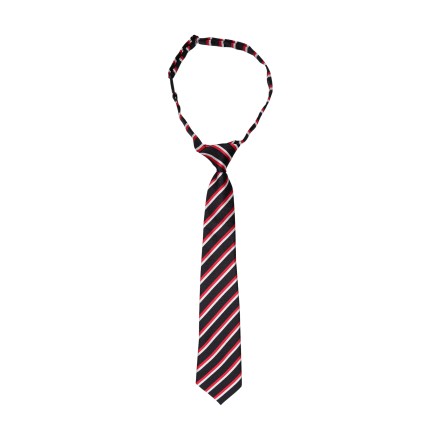 Black Colour BCGINETTE Tie - Sort stribet slips 208420 Black