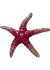 Tim&Simonsen Pin Sea Star - Pink s&oslash;stjerne TSJ771 Pink