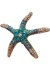 Tim&Simonsen Pin Sea Star - Turkis s&oslash;stjerne TSJ771 Turquoise