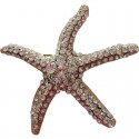 Tim&Simonsen Pin Sea Star - Søstjerne med klare stenTSJ771 White